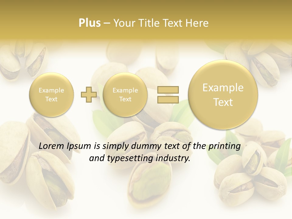 Seed Salted Dried PowerPoint Template