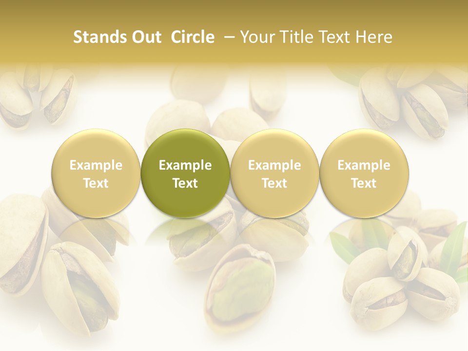 Seed Salted Dried PowerPoint Template