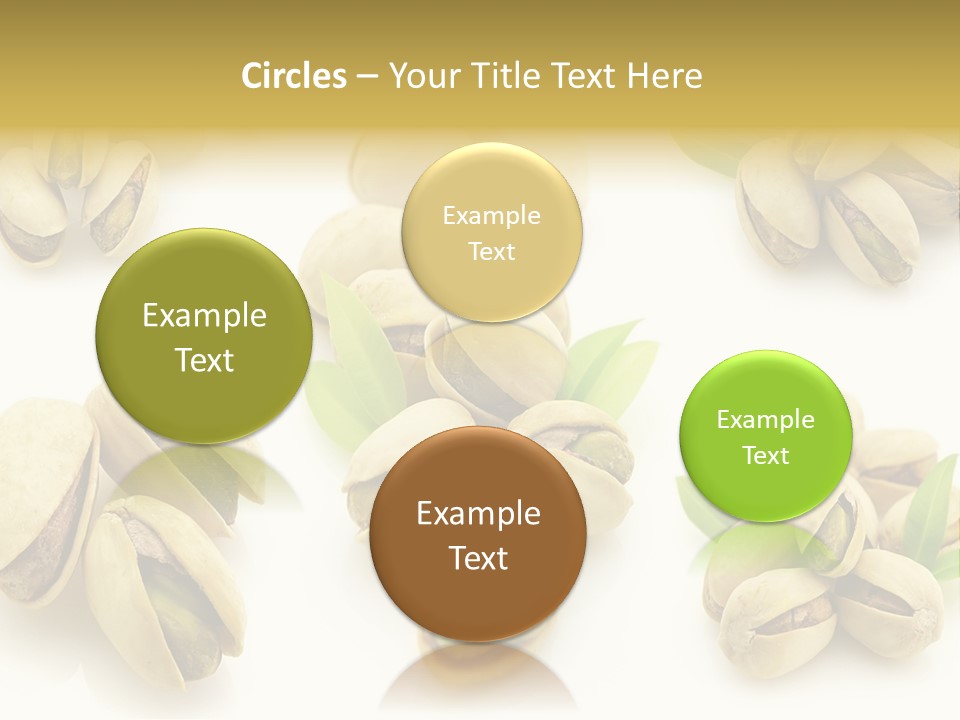 Seed Salted Dried PowerPoint Template