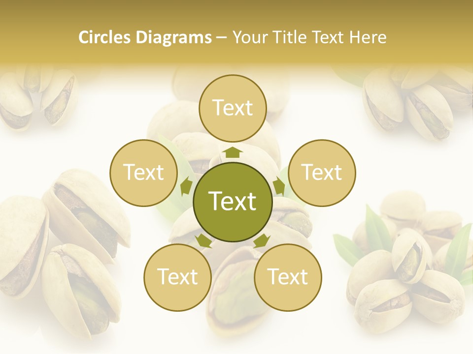 Seed Salted Dried PowerPoint Template