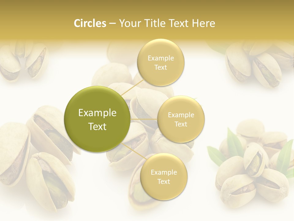 Seed Salted Dried PowerPoint Template