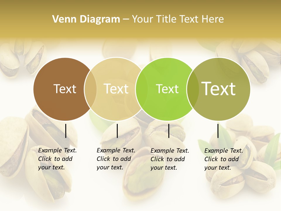 Seed Salted Dried PowerPoint Template