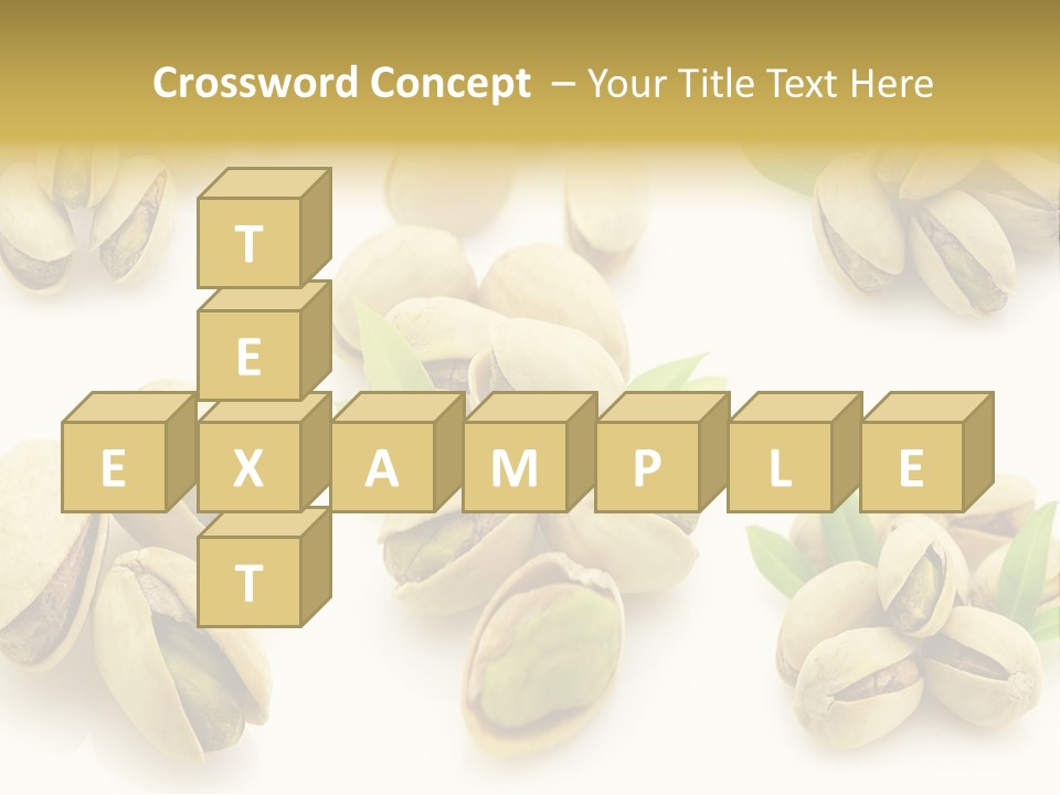 Seed Salted Dried PowerPoint Template