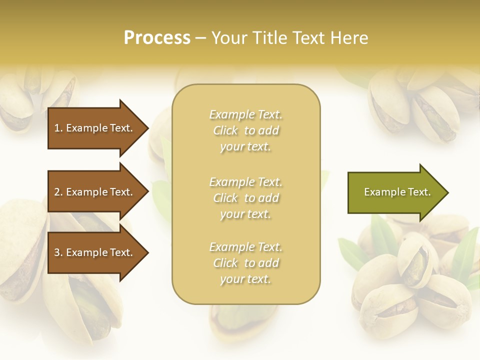 Seed Salted Dried PowerPoint Template