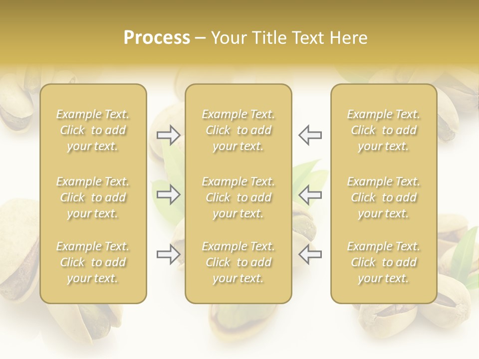 Seed Salted Dried PowerPoint Template