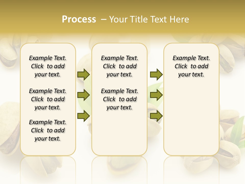 Seed Salted Dried PowerPoint Template