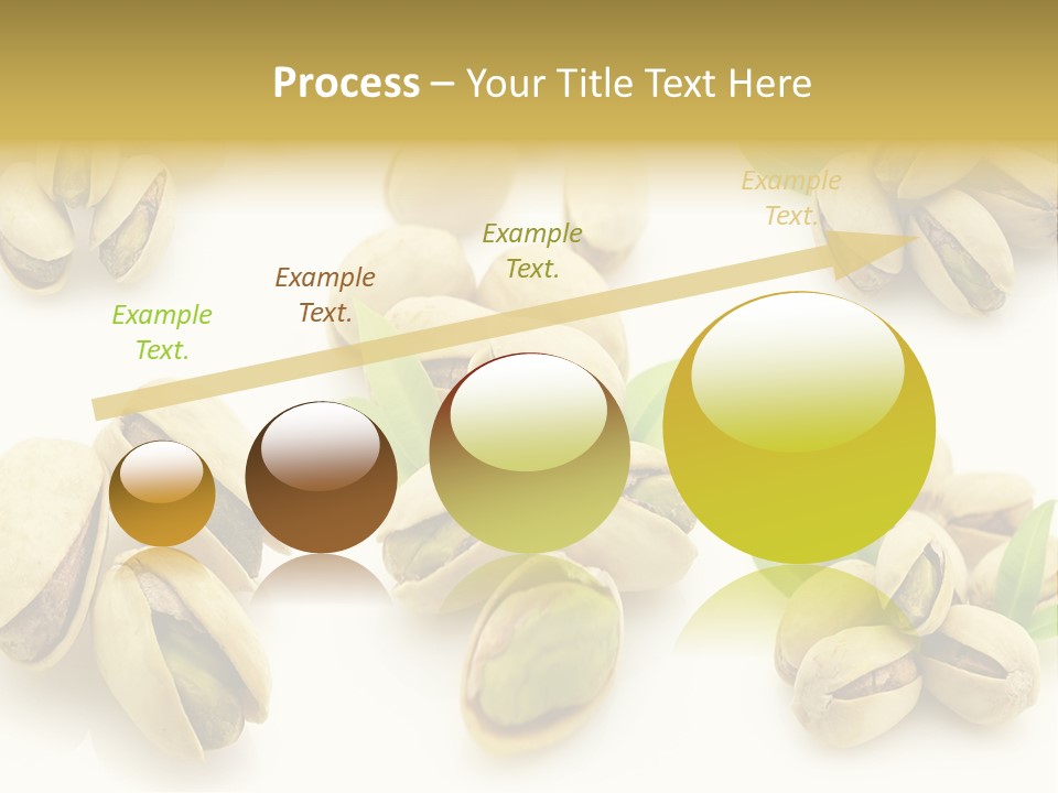 Seed Salted Dried PowerPoint Template