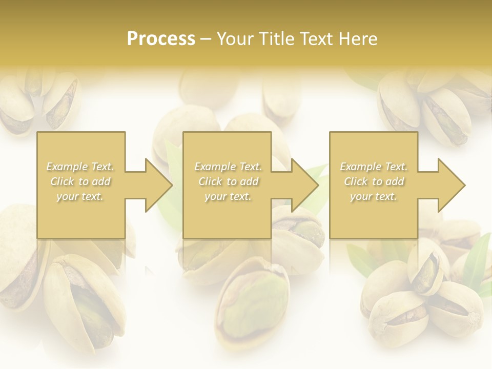 Seed Salted Dried PowerPoint Template
