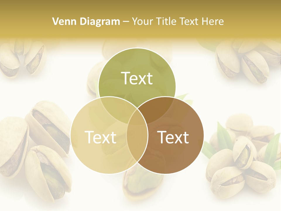 Seed Salted Dried PowerPoint Template