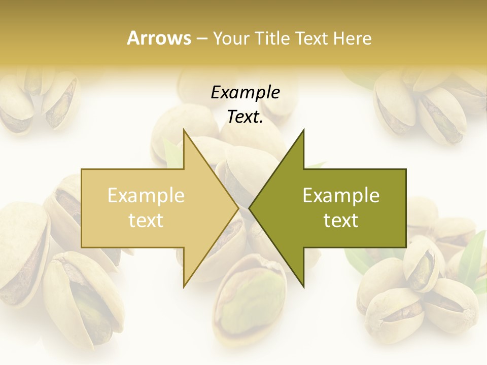 Seed Salted Dried PowerPoint Template