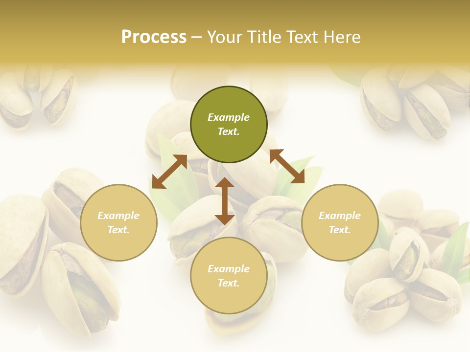 Seed Salted Dried PowerPoint Template