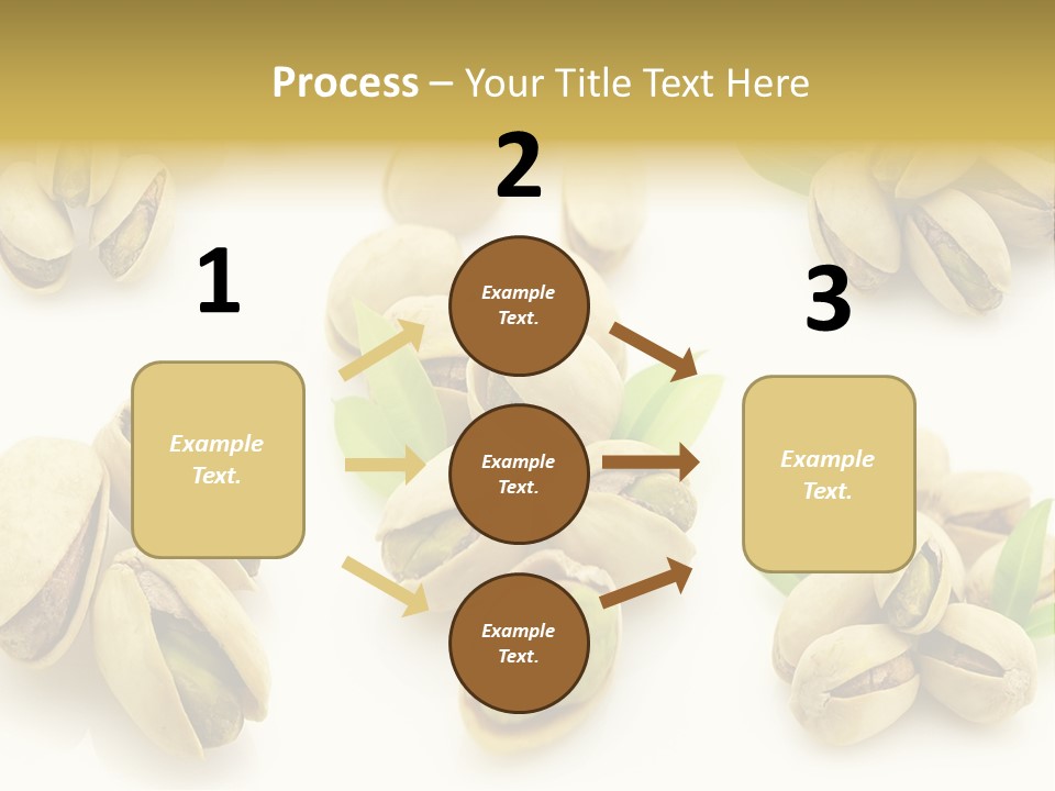 Seed Salted Dried PowerPoint Template