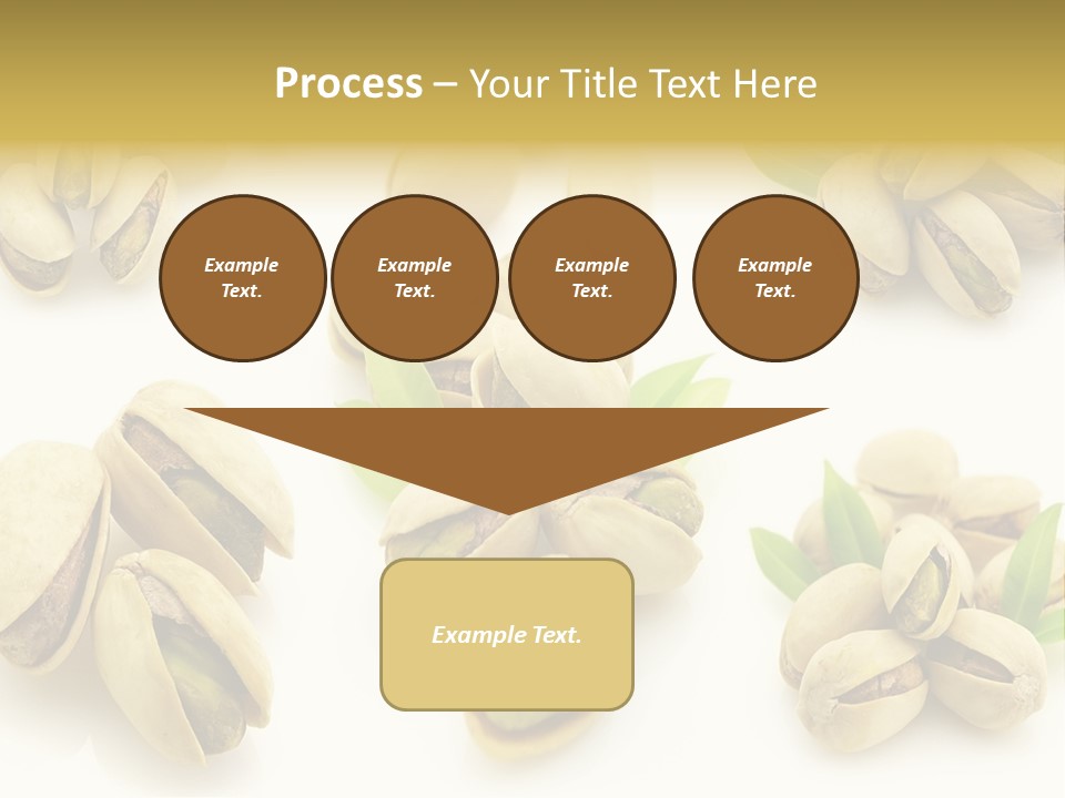 Seed Salted Dried PowerPoint Template
