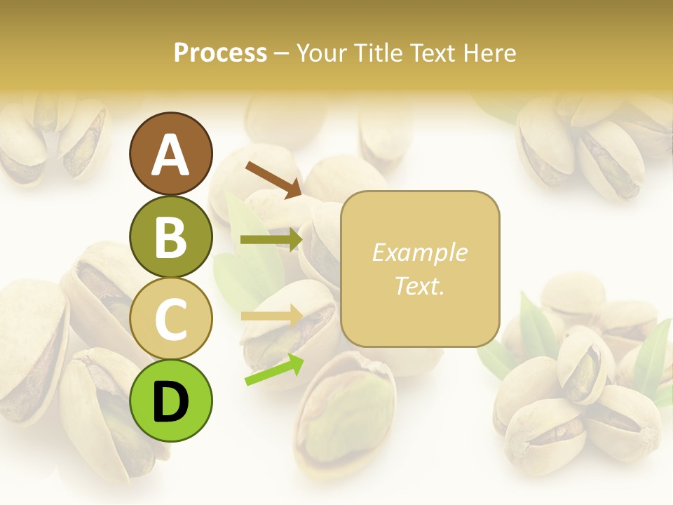 Seed Salted Dried PowerPoint Template