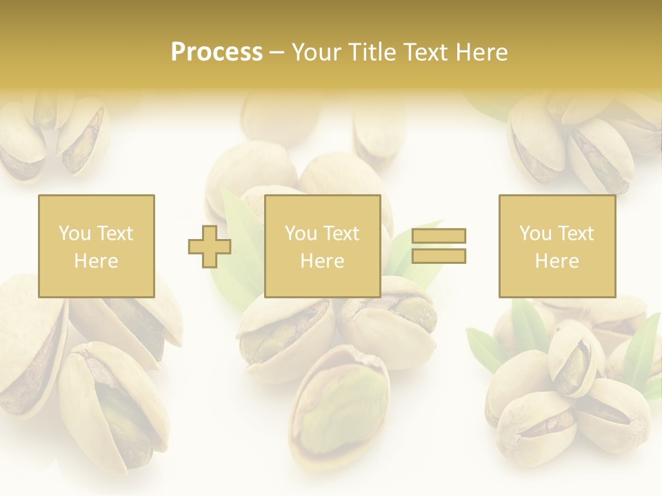 Seed Salted Dried PowerPoint Template