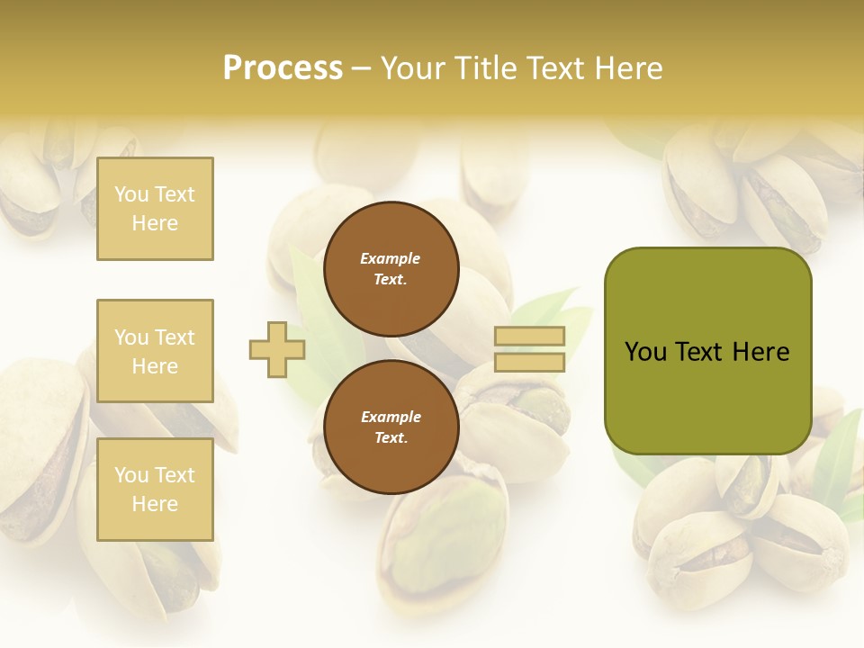 Seed Salted Dried PowerPoint Template
