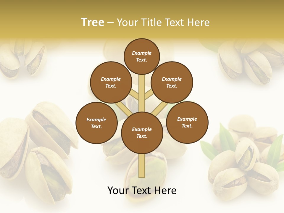 Seed Salted Dried PowerPoint Template