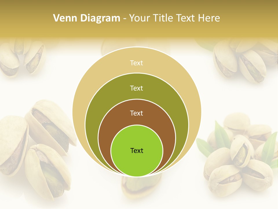 Seed Salted Dried PowerPoint Template