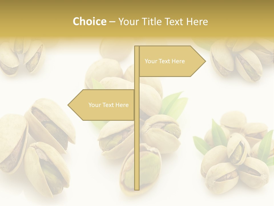 Seed Salted Dried PowerPoint Template