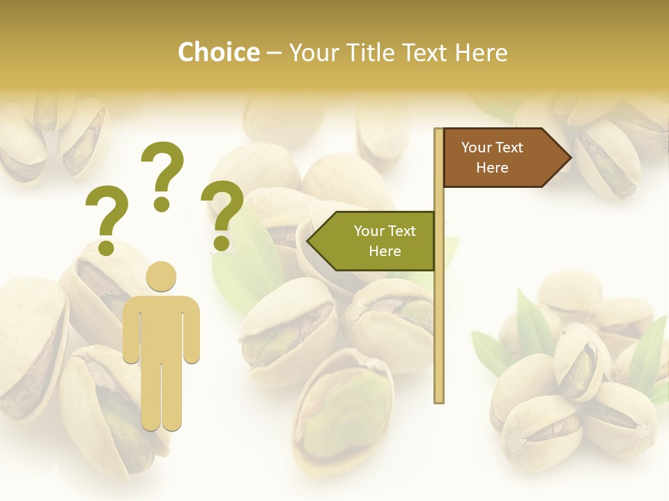 Seed Salted Dried PowerPoint Template