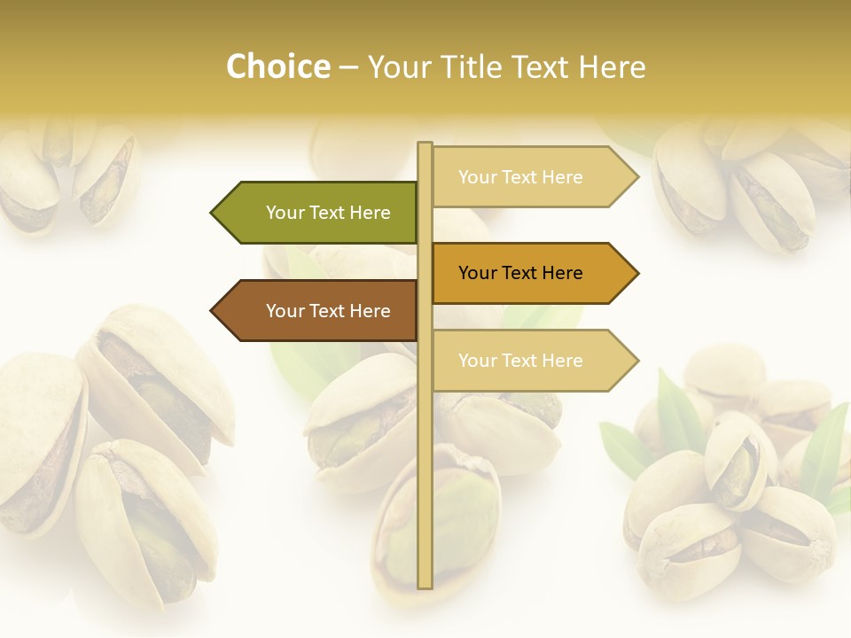 Seed Salted Dried PowerPoint Template