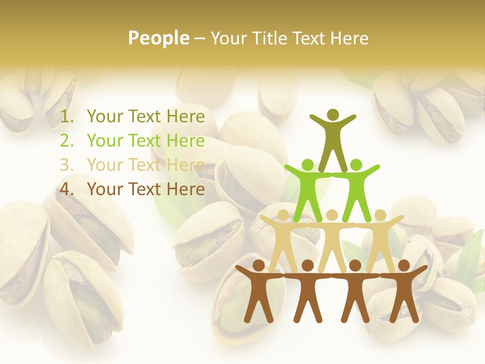 Seed Salted Dried PowerPoint Template