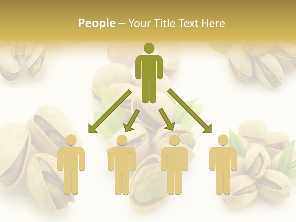 Seed Salted Dried PowerPoint Template