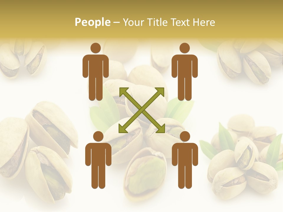 Seed Salted Dried PowerPoint Template