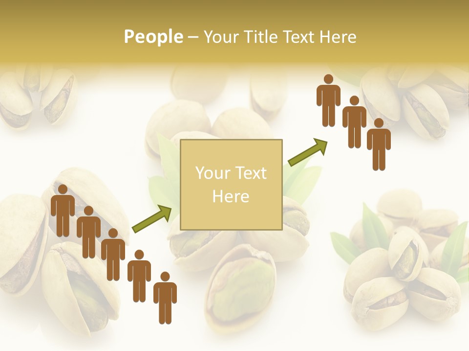 Seed Salted Dried PowerPoint Template