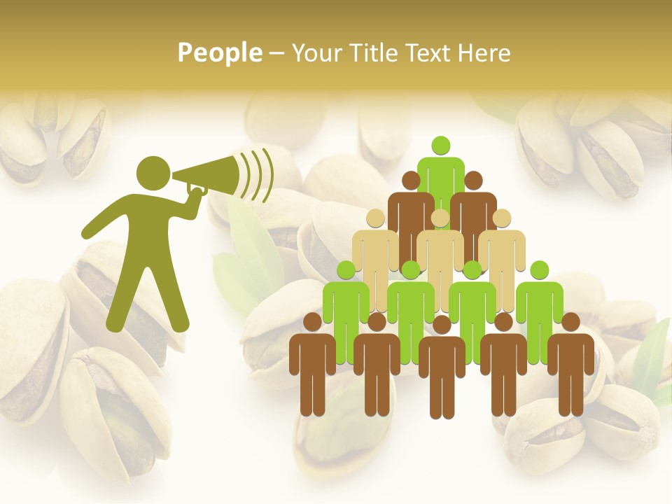 Seed Salted Dried PowerPoint Template