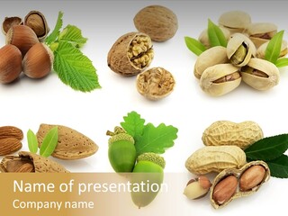 Tasty Object Shell PowerPoint Template