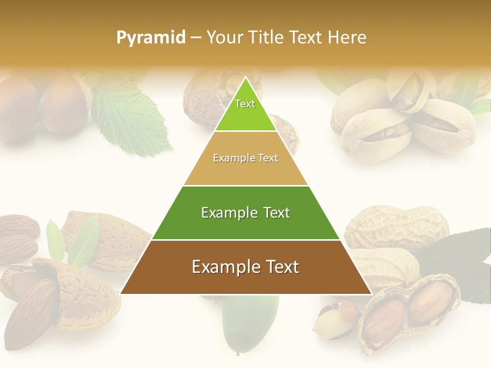 Tasty Object Shell PowerPoint Template