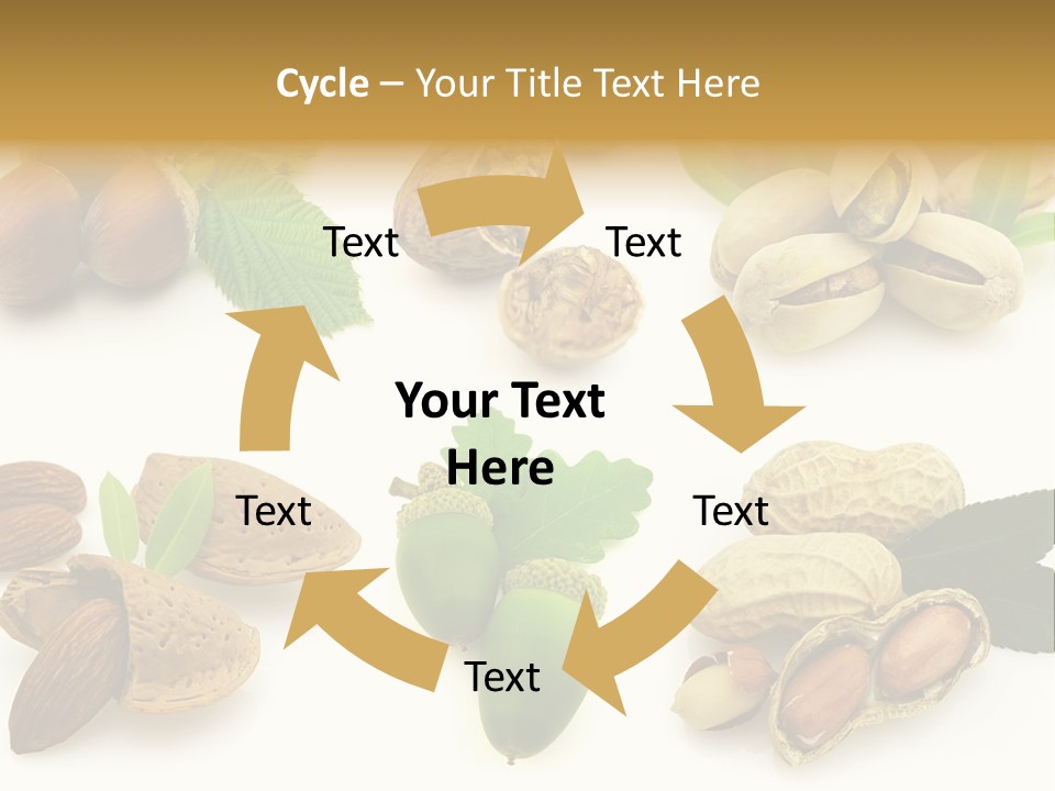 Tasty Object Shell PowerPoint Template
