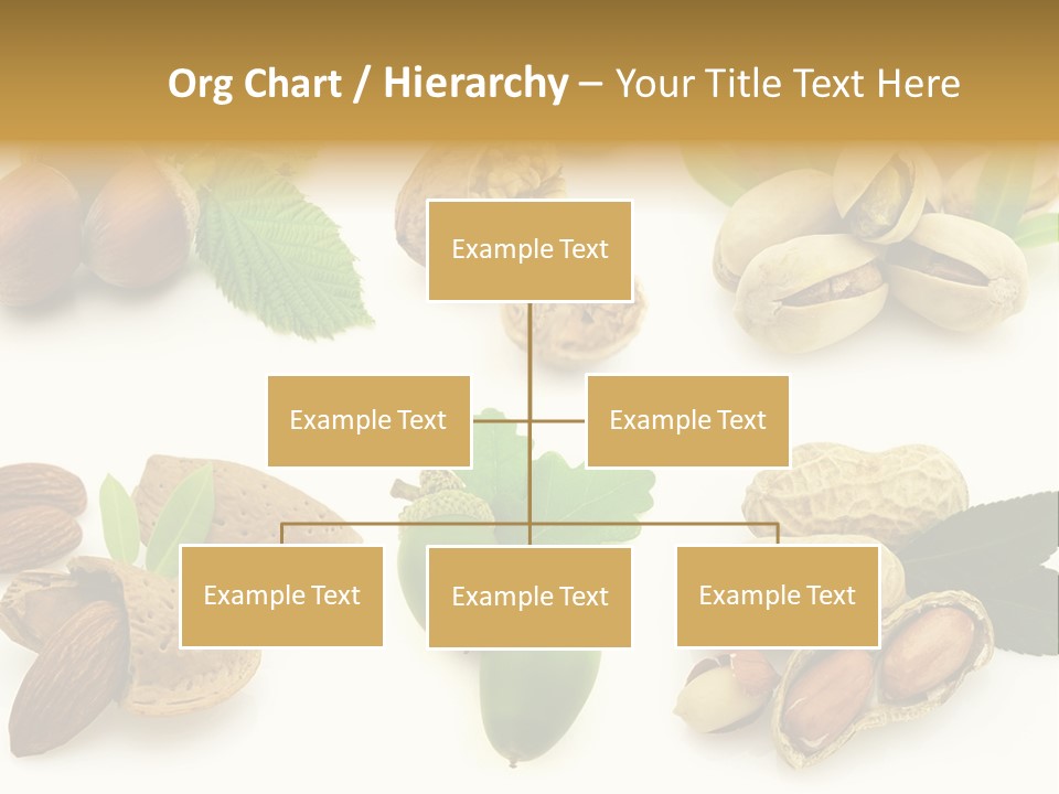 Tasty Object Shell PowerPoint Template