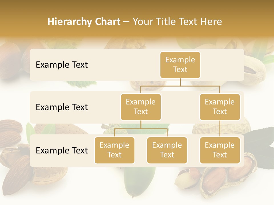 Tasty Object Shell PowerPoint Template