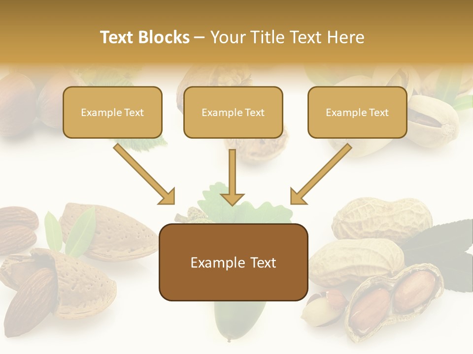 Tasty Object Shell PowerPoint Template