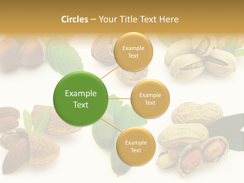 Tasty Object Shell PowerPoint Template
