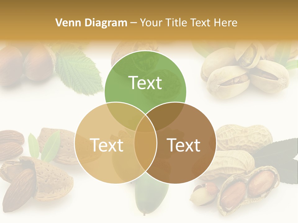 Tasty Object Shell PowerPoint Template