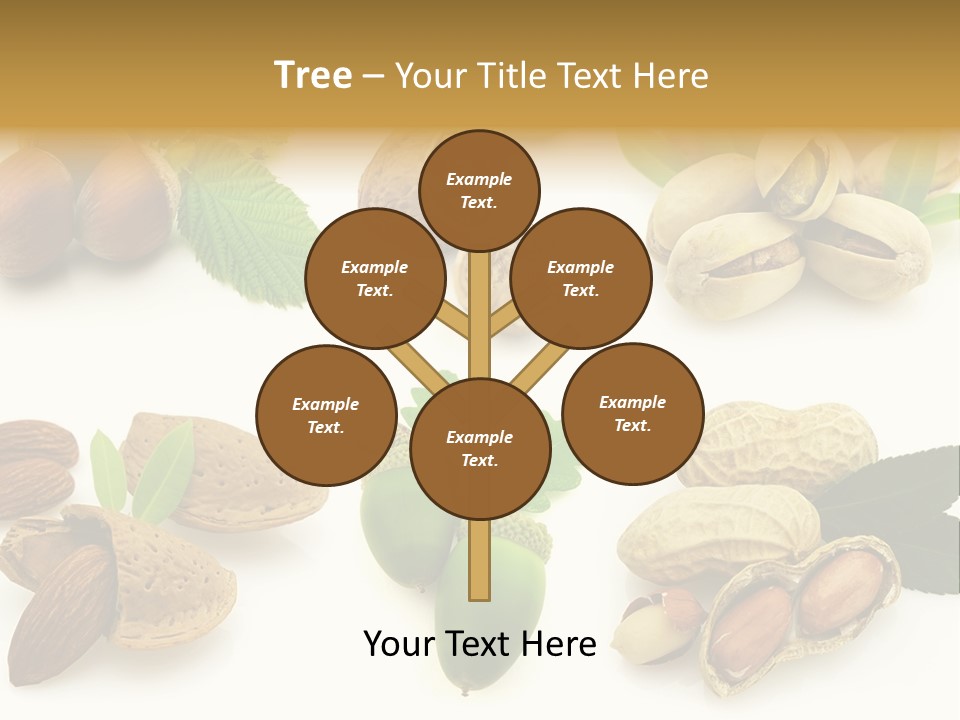 Tasty Object Shell PowerPoint Template