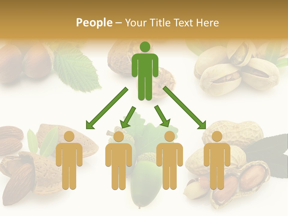 Tasty Object Shell PowerPoint Template