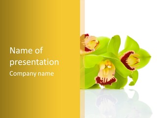 Indoor Saint Violet PowerPoint Template