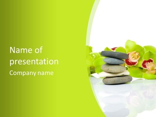 Stem Beautiful Indoor PowerPoint Template