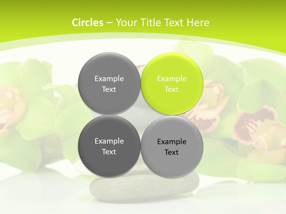 Stem Beautiful Indoor PowerPoint Template