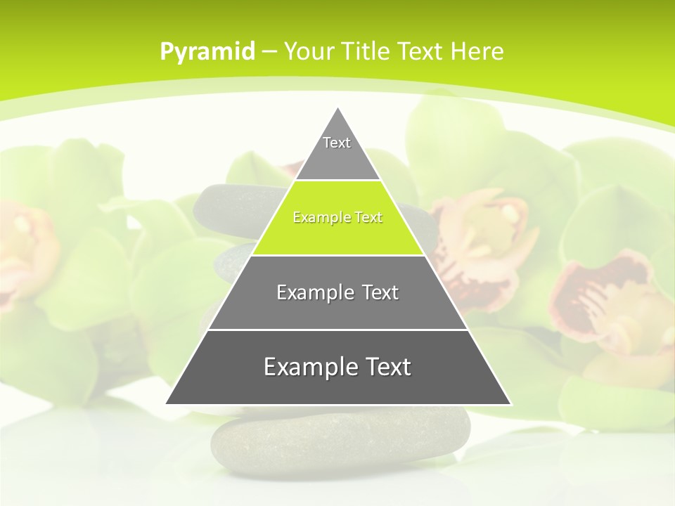 Stem Beautiful Indoor PowerPoint Template