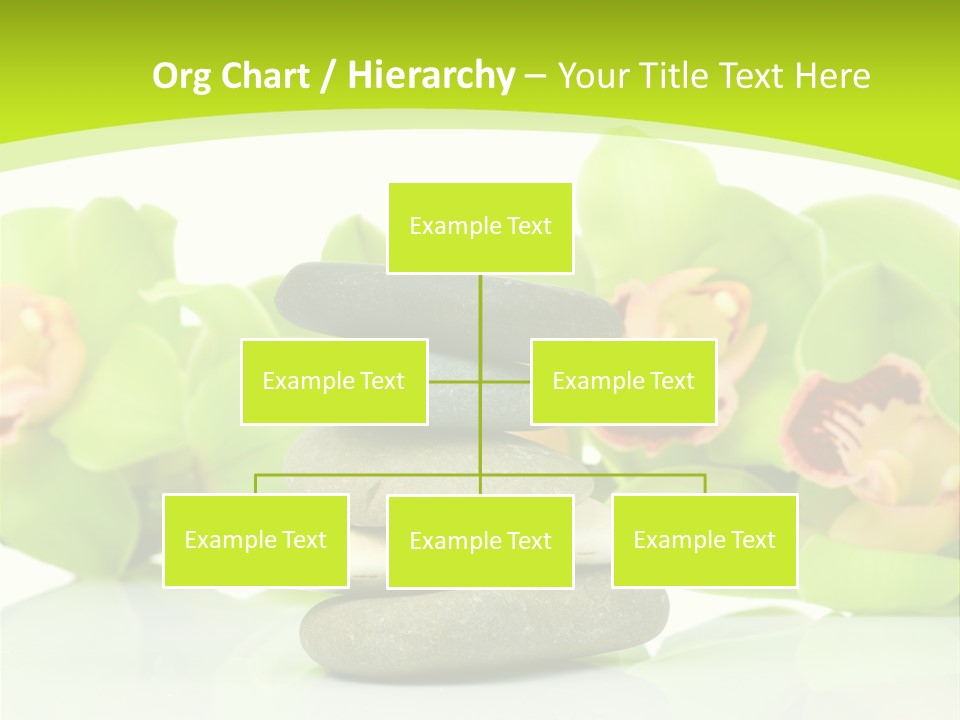 Stem Beautiful Indoor PowerPoint Template