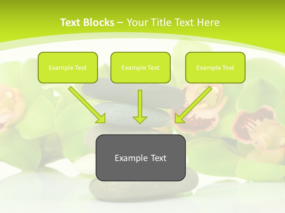 Stem Beautiful Indoor PowerPoint Template