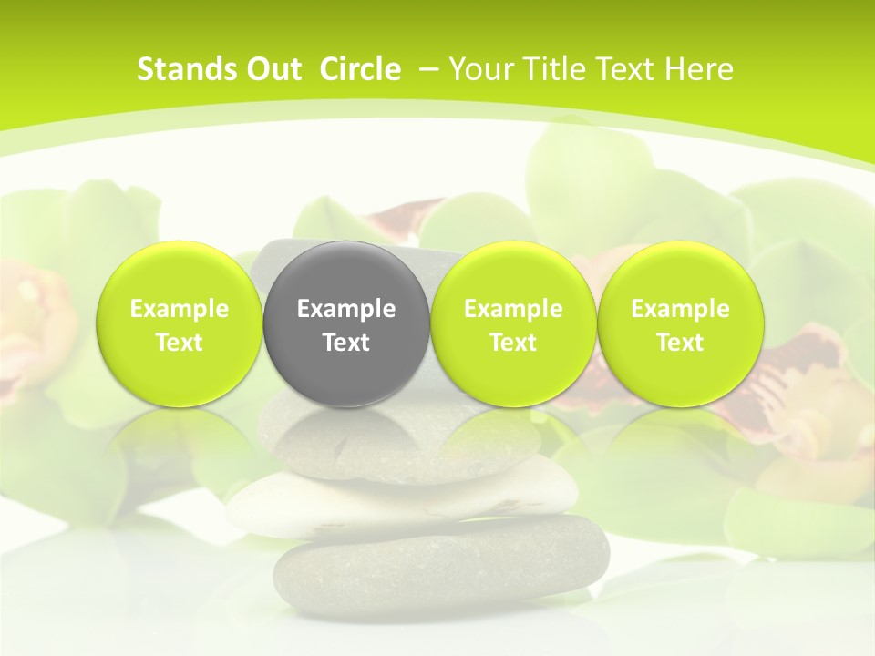 Stem Beautiful Indoor PowerPoint Template