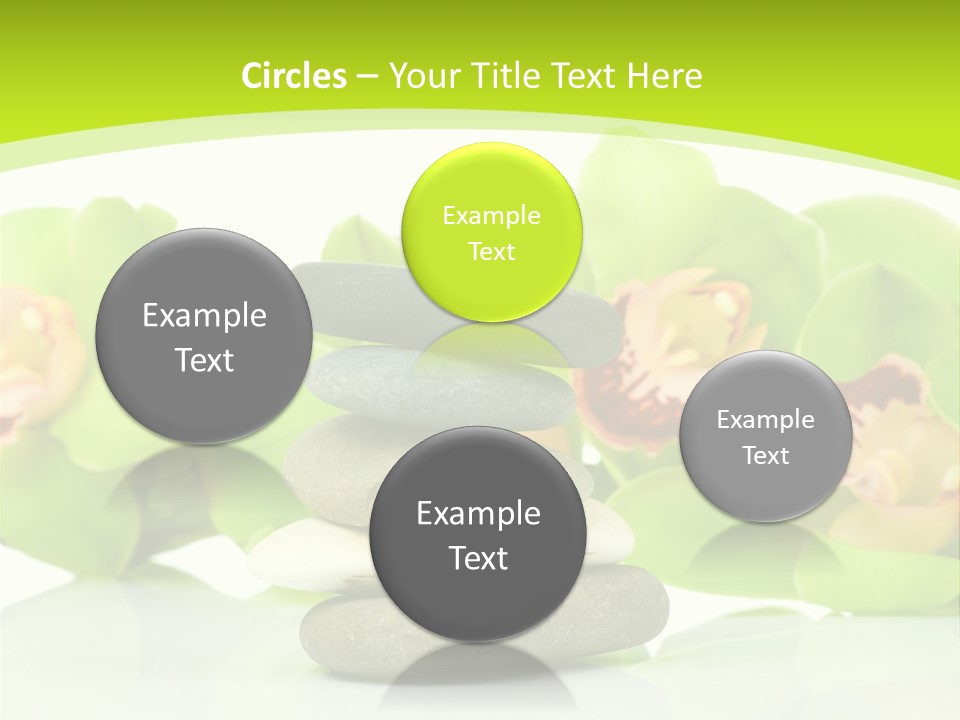 Stem Beautiful Indoor PowerPoint Template