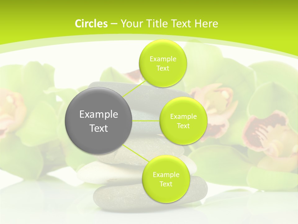 Stem Beautiful Indoor PowerPoint Template