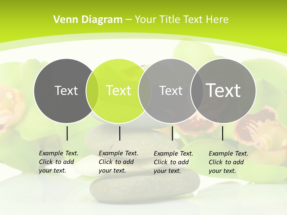 Stem Beautiful Indoor PowerPoint Template
